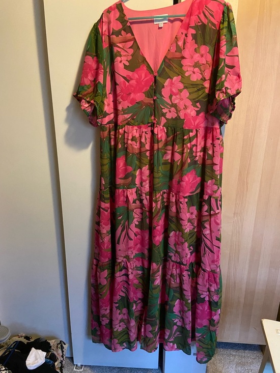 Sugarlips Dresses & Skirts - Sugarlips Pink & Green Floral V-Neck Maxi Dress